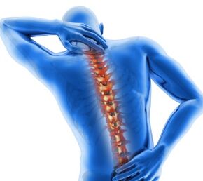 Elements of the spinal column