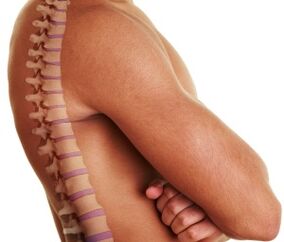 Human spine